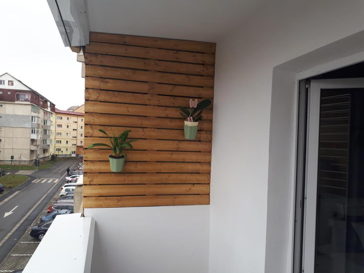 Angel Residence Sibiu Exteriér fotografie